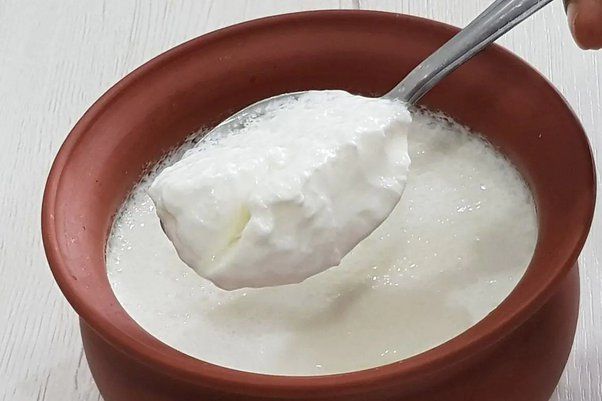Curd Sadha 1 litre